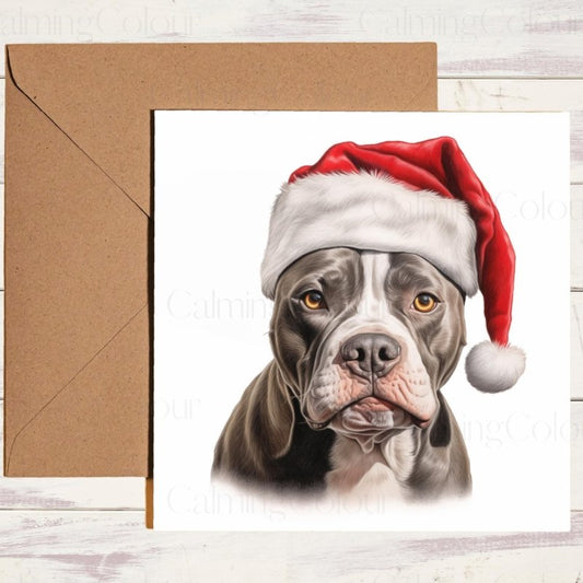 American Staffordshire Terrier in Santa Hat | Christmas Card | Christmas Card