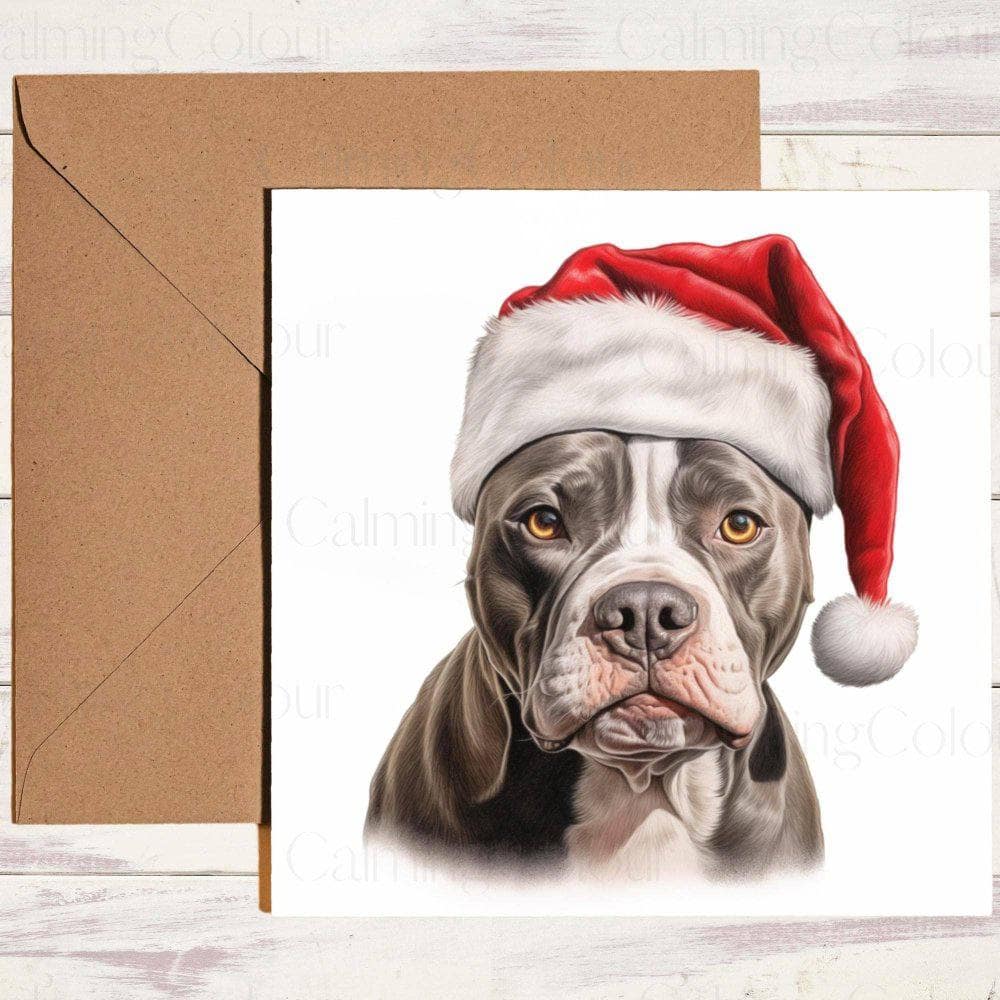 American Staffordshire Terrier with Red Santa Hat | Christmas Card | Christmas Card