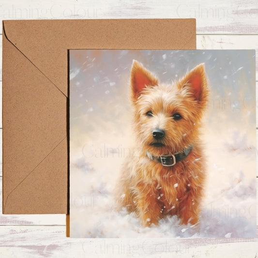 Australian Terrier in Snowy Scene | Christmas Card | Christmas Card