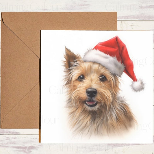 Australian Terrier with Santa Hat | Christmas Card | Christmas Card