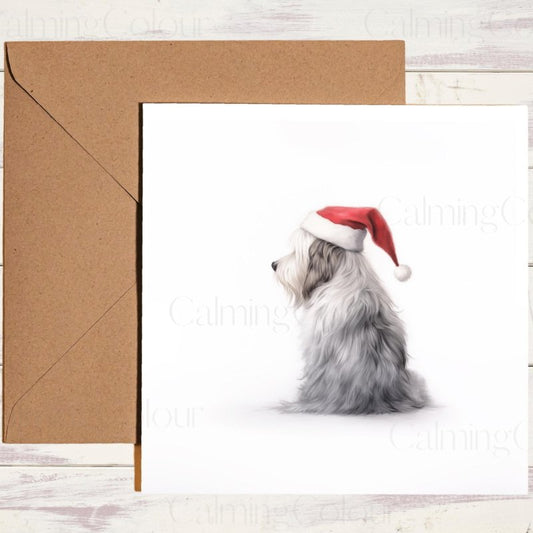 Bearded Collie in Festive Santa Hat | Christmas Card | Christmas Card