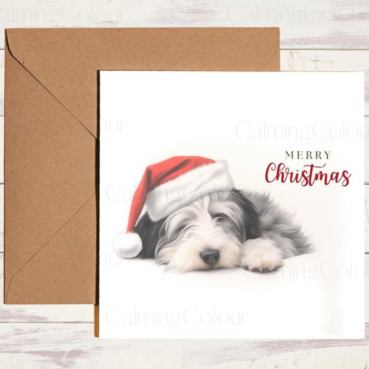 Bearded Collie Snoozing at Christmas | Festive Card | Christmas Card