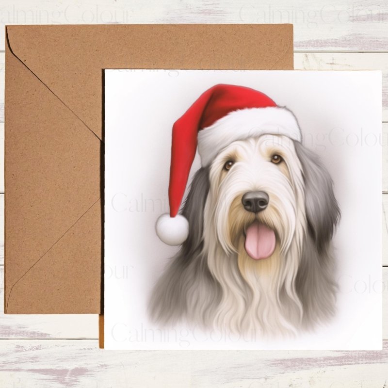 Bearded Collie with a Santa Hat | Christmas Card | Christmas Card