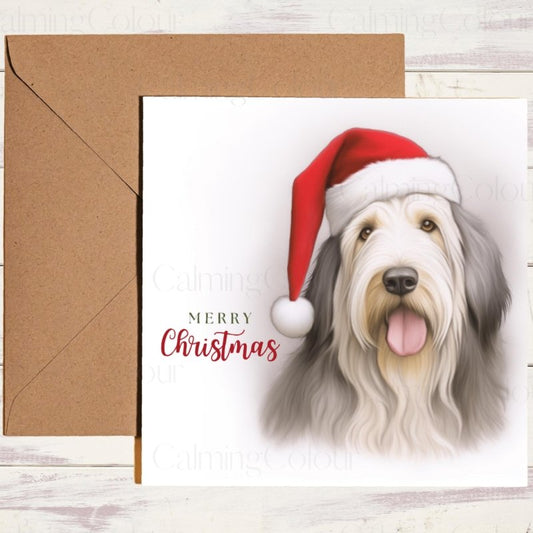 Bearded Collie with a Santa Hat | Christmas Card | Christmas Card