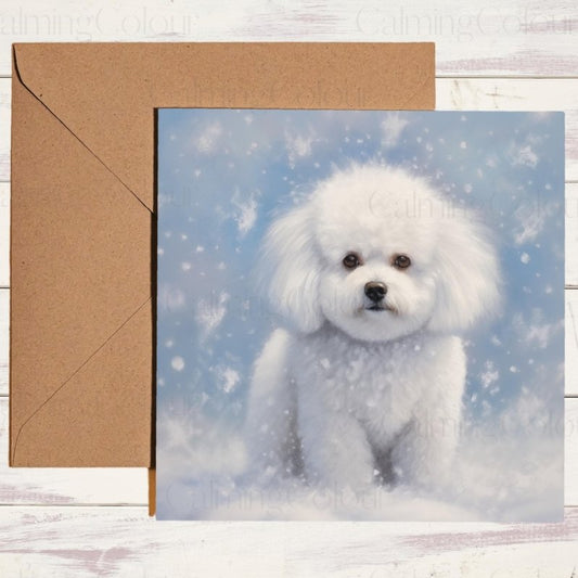 Bichon Frise in Winter Snow | Christmas Card | Christmas Card