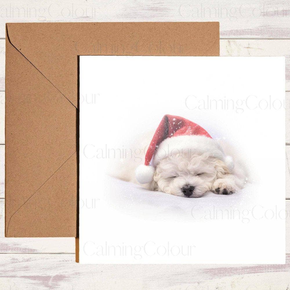 Bichon Frise with Red Santa Hat Sleeping at Christmas | Christmas Card