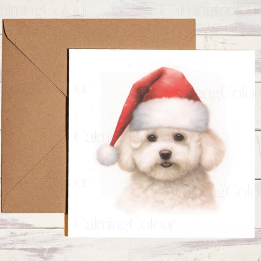 Bichon Frise with Santa Hat |Christmas Card | Christmas Card