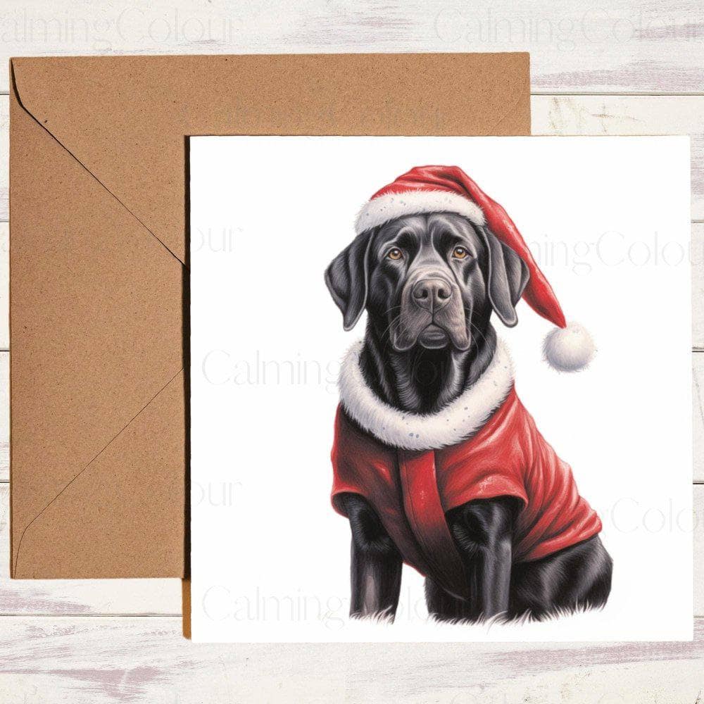 Black Labrador | Red Christmas Jumper | Christmas Card | Christmas Card