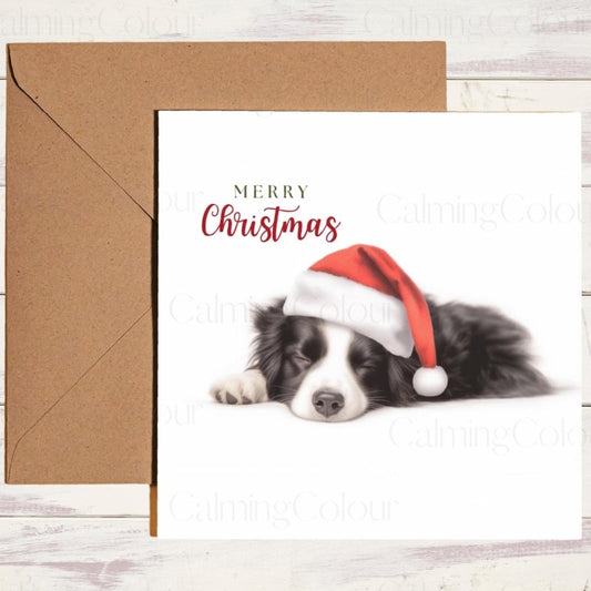 Border Collie Asleep in Santa Hat | Christmas Card | Christmas Card