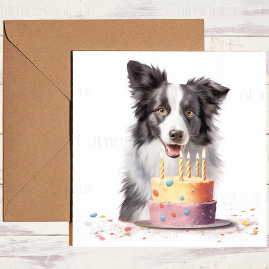 Border Collie Birthday Card | Greetings to all Dog Lovers | Birthday Card