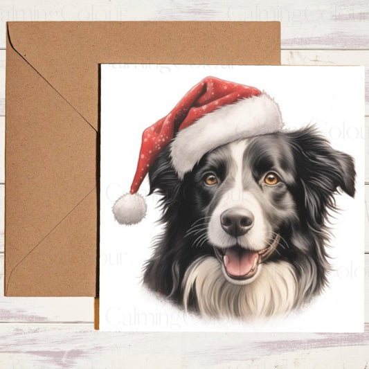 Border Collie in Festive Santa Hat | Christmas Card | Christmas Card