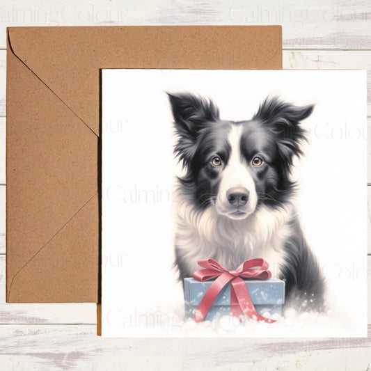 Border Collie Watching Over Gift | Christmas Card | Christmas Card
