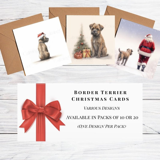 Border Terrier Christmas Cards | Dog Lover MultiPack | Card Multipack