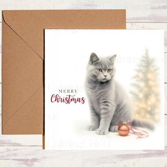 British Shorthair beside Christmas Tree | Christmas Card | Christmas Card