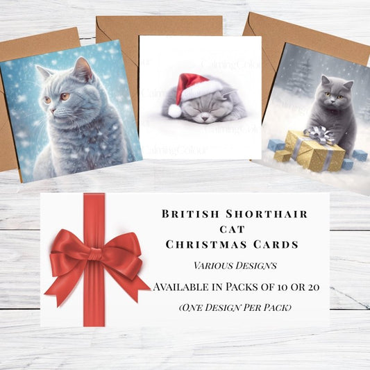 British Shorthair Cat Christmas Cards | Cat Lover MultiPack | Card Multipack