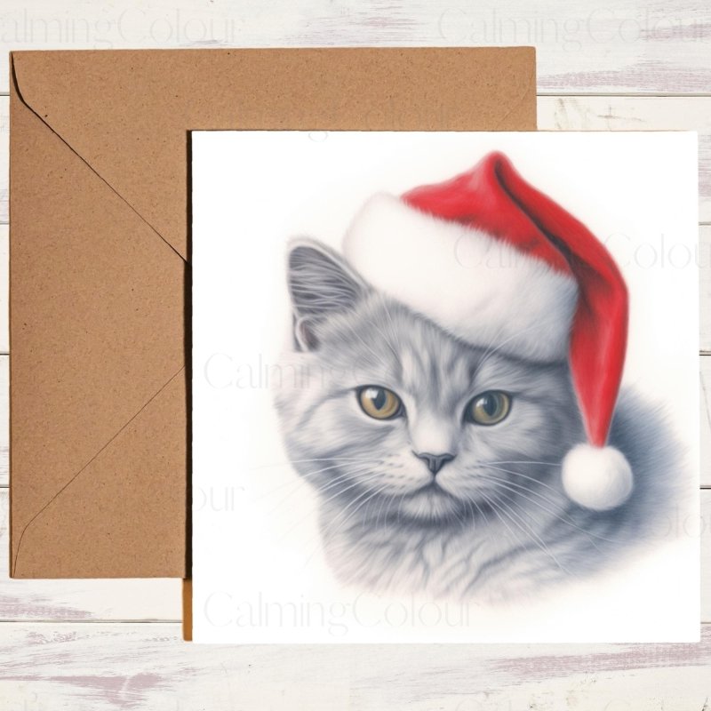 British Shorthair Cat in Santa Hat | Christmas Card | Christmas Card