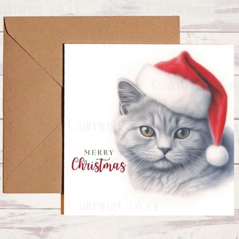 British Shorthair Cat in Santa Hat | Christmas Card | Christmas Card