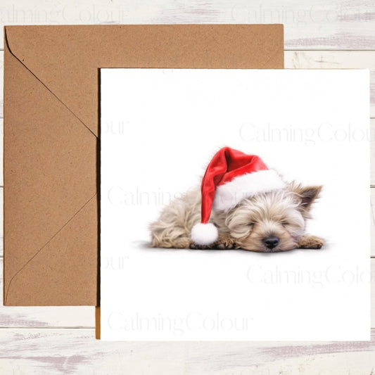 Cairn Terrier Sleeping Sweetly | Christmas Card | Christmas Card