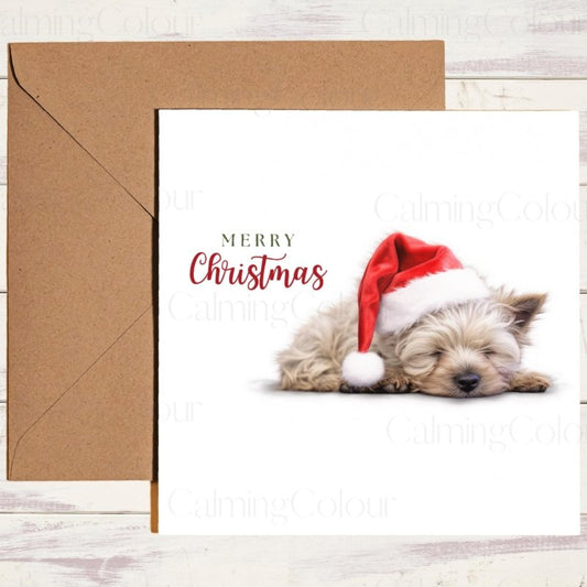 Cairn Terrier Sleeping Sweetly | Christmas Card | Christmas Card