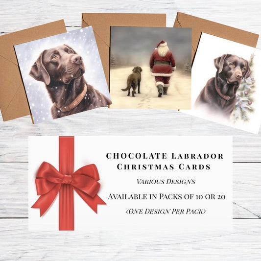 Chocolate Labrador Christmas Card MultiPack (10 or 20) | Card Multipack