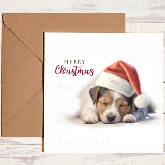 Cute Jack Russell Sleeping Soundly | Christmas Card | Christmas Card