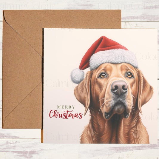 Fox Red Labrador with Santa Hat | Christmas Card | Christmas Card