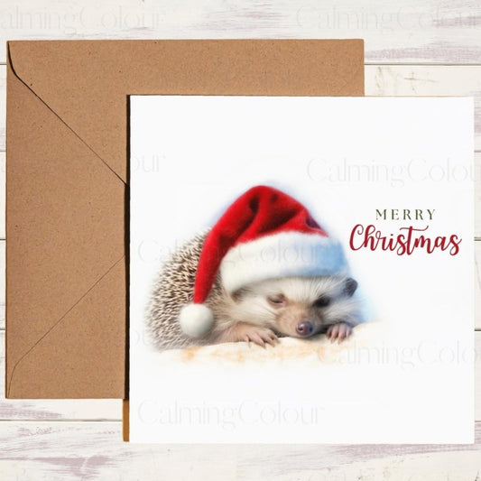 Hedgehog Sleeping in Santa Hat | Christmas Card | Christmas Card
