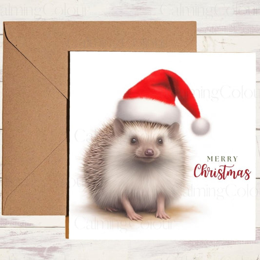 Hedgehog Wearing a Santa Hat | Christmas Card | Christmas Card