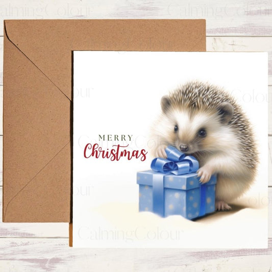 Hedgehog with Blue Present | Christmas Card | Christmas Card