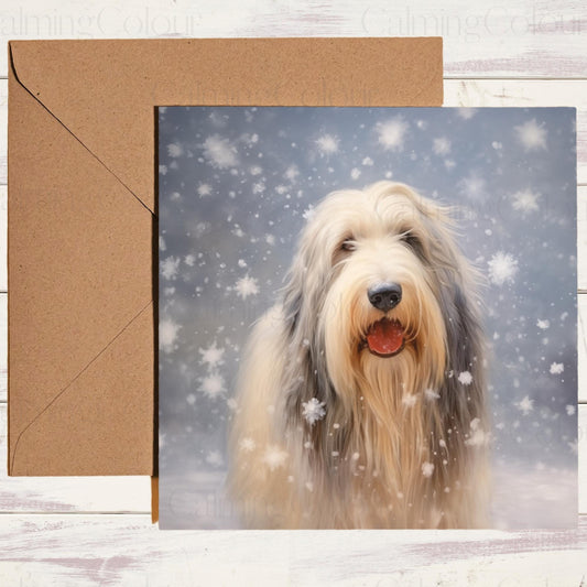 5.5-inch square Christmas card:  Bearded Collie in the snow. Glossy coating, 280gsm cardstock for sturdiness, eco-friendly packaging, Kraft brown envelope. Inside: blank canvas for personal message.
