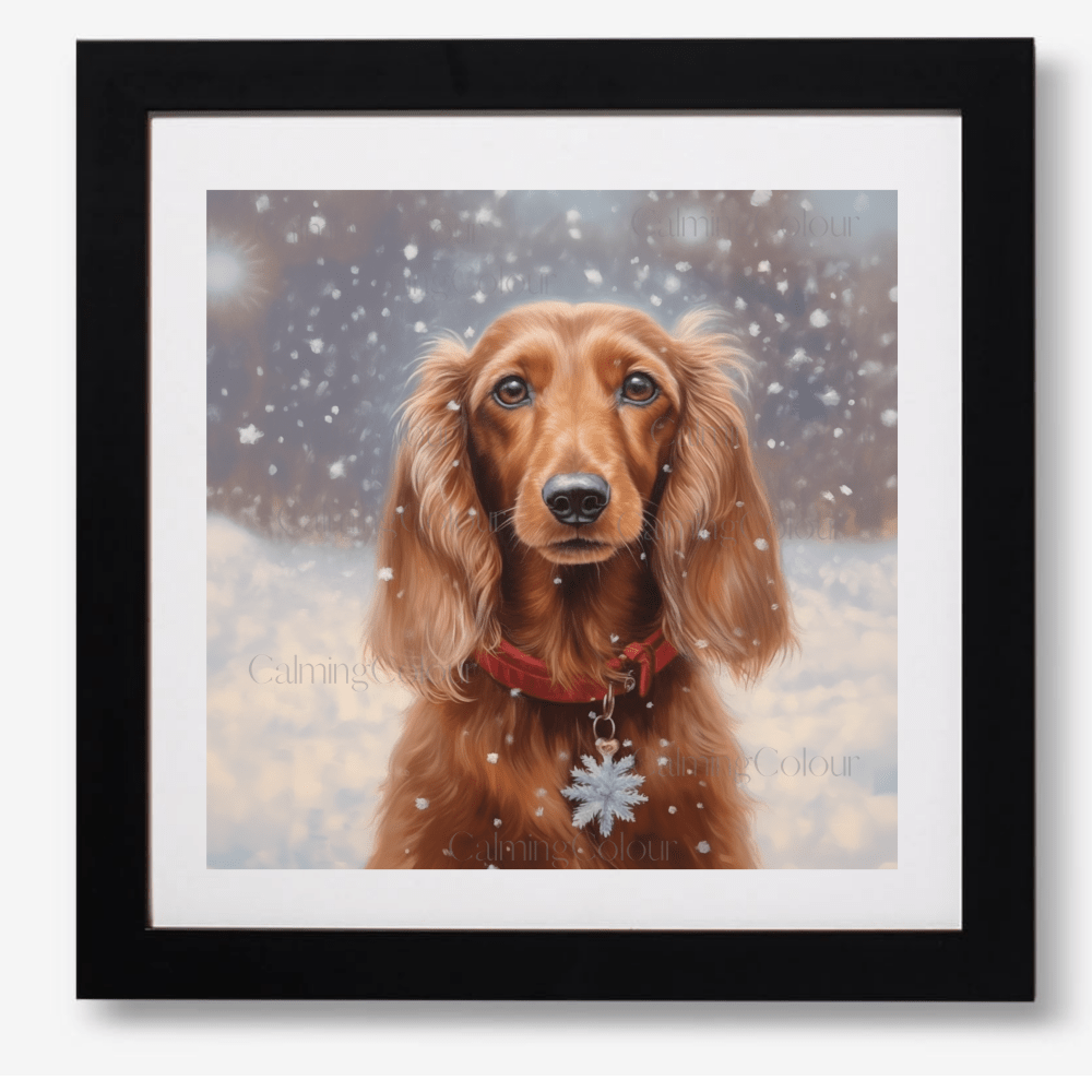 Long - haired Dachshund in the Snow | Framed Art Print | Artwork - Framed Print