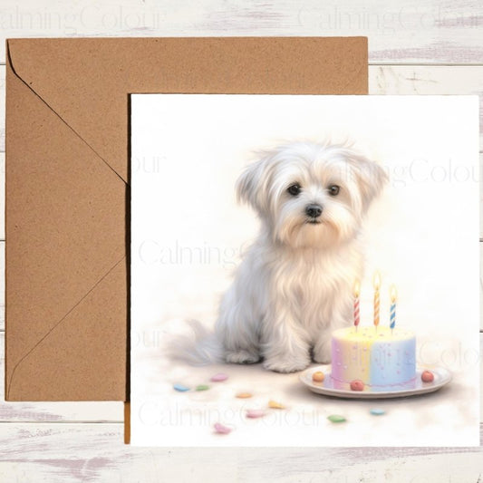 Maltese Birthday Card | Greetings for all Dog Lovers | Birthday Card