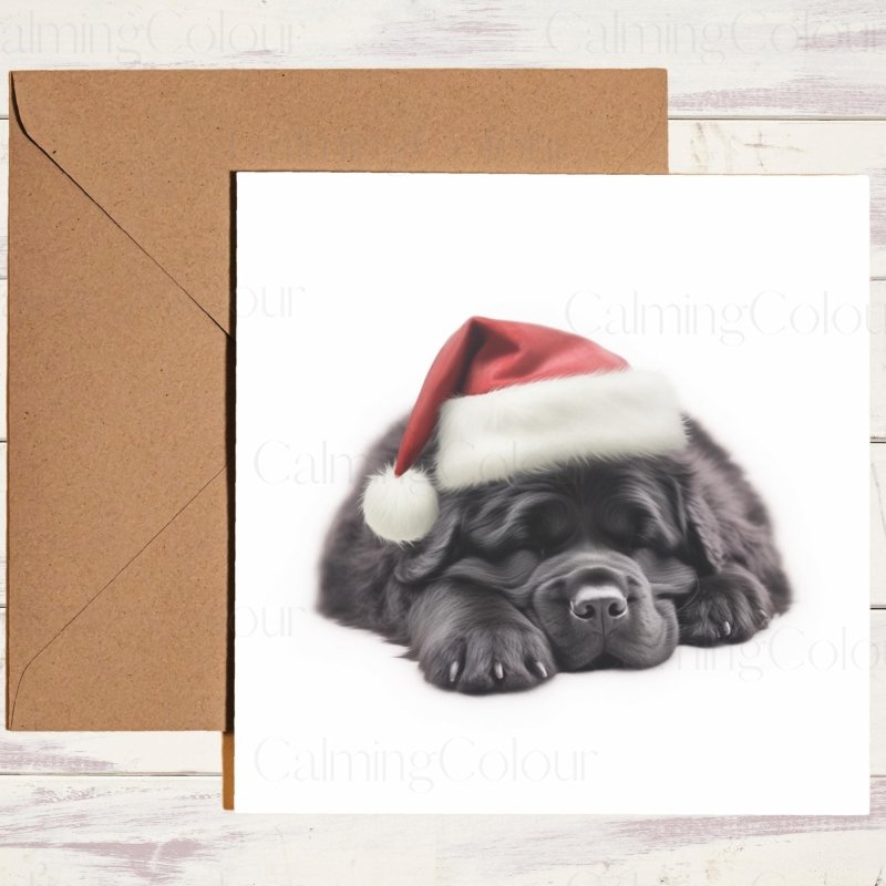 Newfoundland Asleep in Santa Hat | Christmas Card | Christmas Card