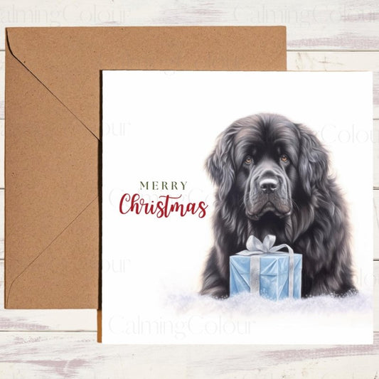 Newfoundland Dog Christmas Card | Snowy Greetings | Christmas Card