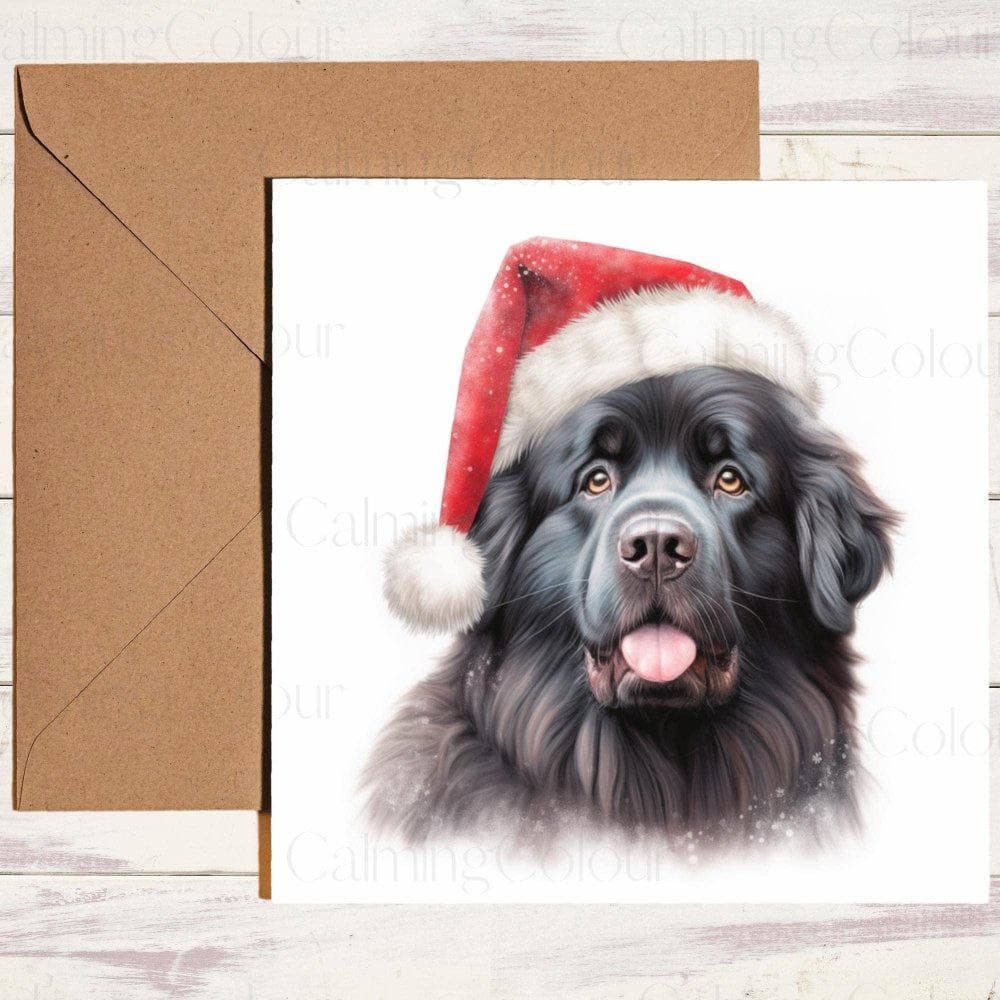 Newfoundland wearing Red Santa Hat | Christmas Card | Christmas Card