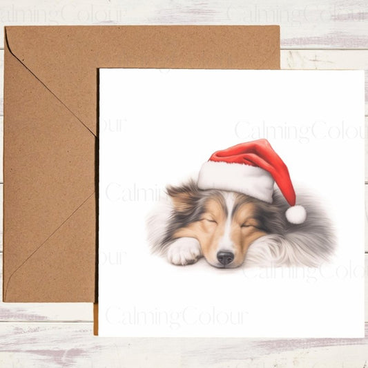 Rough Collie Sleeping Peacefully | Christmas Card | Christmas Card
