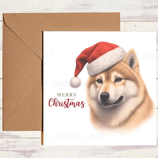 Shiba Inu | Wearing Santa Hat Christmas Card | Christmas Card
