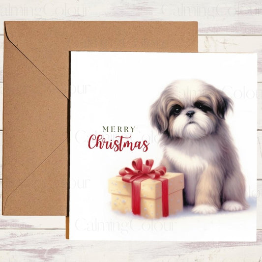 Shih Tzu with Gift | Christmas Card | Christmas Card