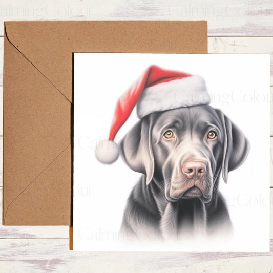 Silver Labrador with Santa Hat | Christmas Card | Christmas Card
