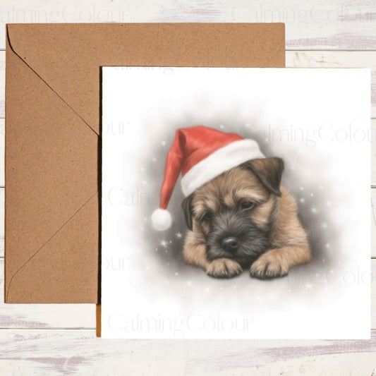 Sleeping Border Terrier Santa Hat Christmas Card | Christmas Card