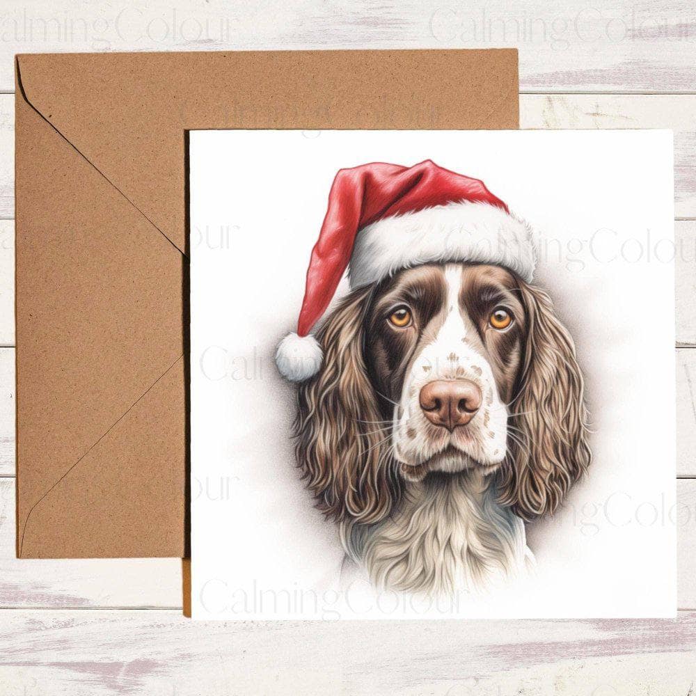Springer Spaniel with Red Santa Hat | Christmas Card | Christmas Card