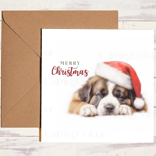 St. Bernard Asleep in Santa Hat | Christmas Card | Christmas Card