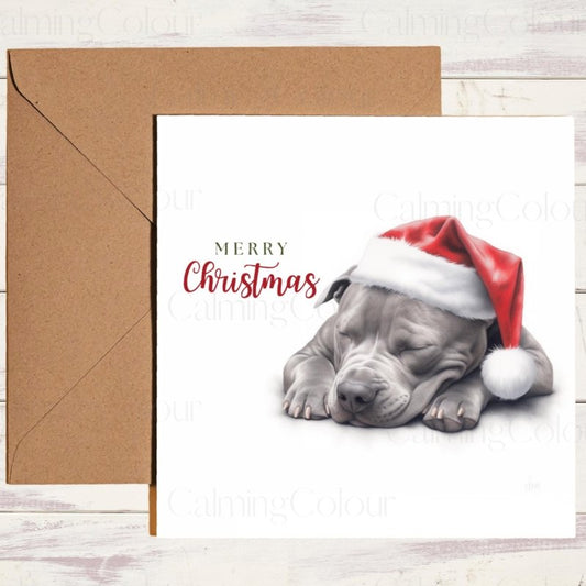 Staffordshire Bull Terrier Asleep in Santa Hat | Christmas Card | Christmas Card