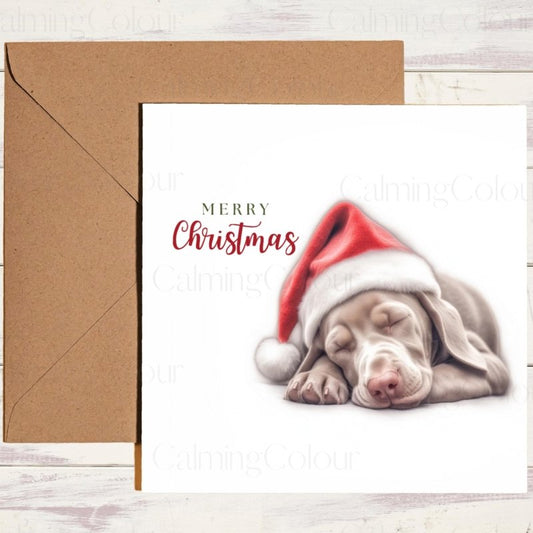 Weimaraner Sound Asleep at Christmas | Festive Card | Christmas Card