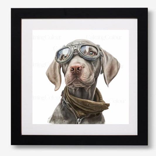 Weimaraner wearing Goggles | Framed Art Print | Artwork - Framed Print