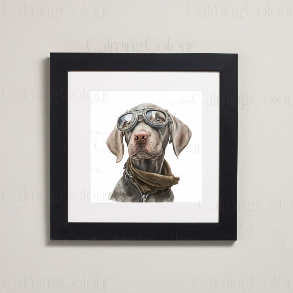 Weimaraner wearing Goggles | Framed Art Print | Artwork - Framed Print