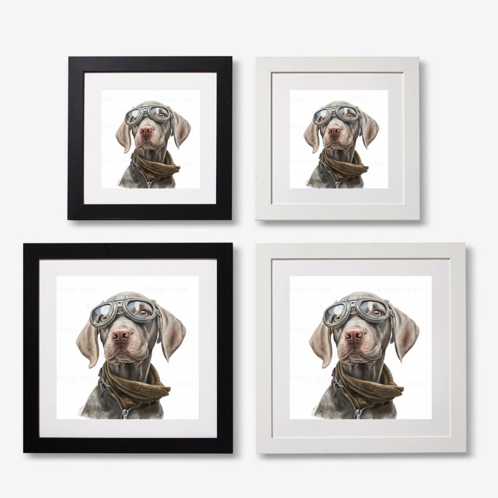 Weimaraner wearing Goggles | Framed Art Print | Artwork - Framed Print