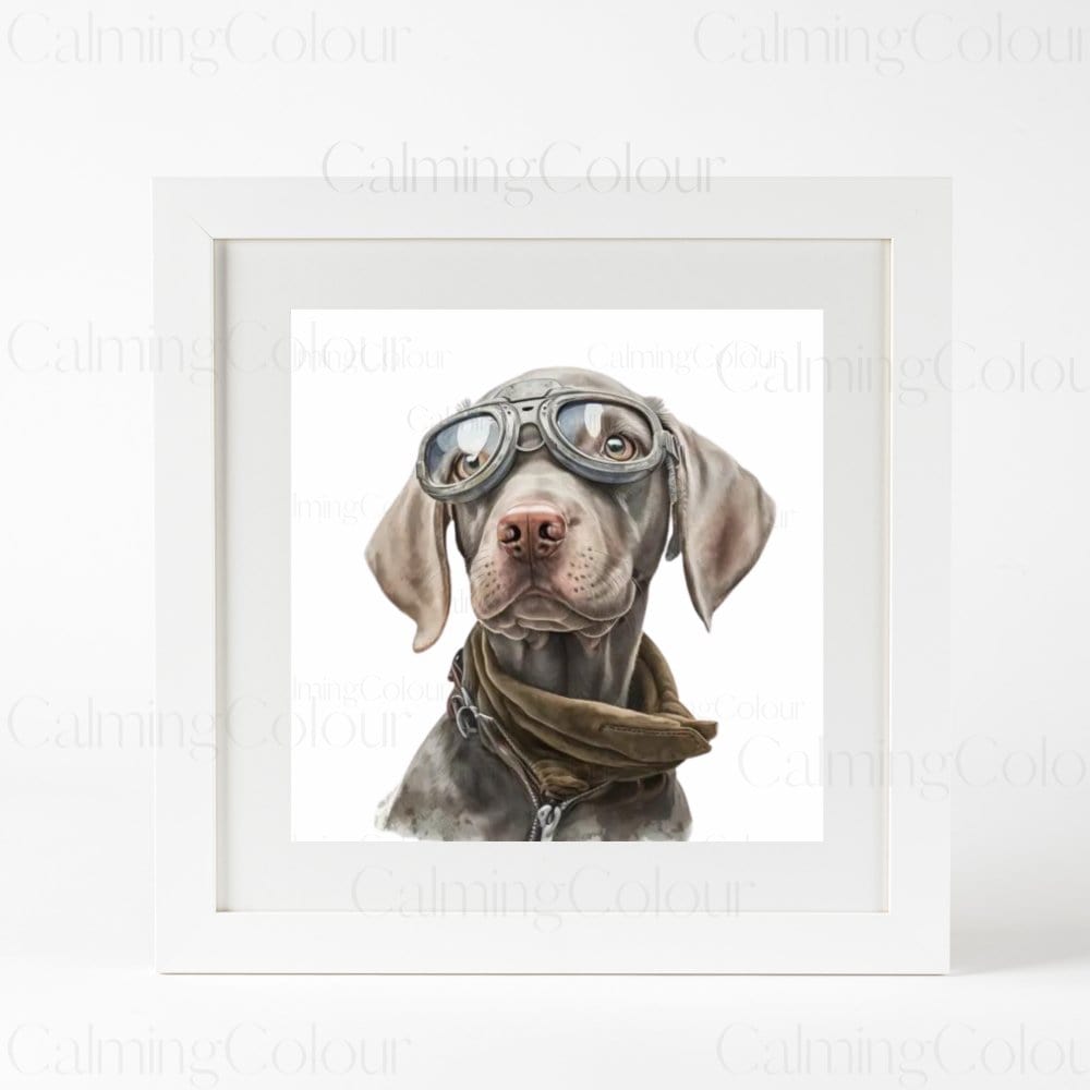 Weimaraner wearing Goggles | Framed Art Print | Artwork - Framed Print