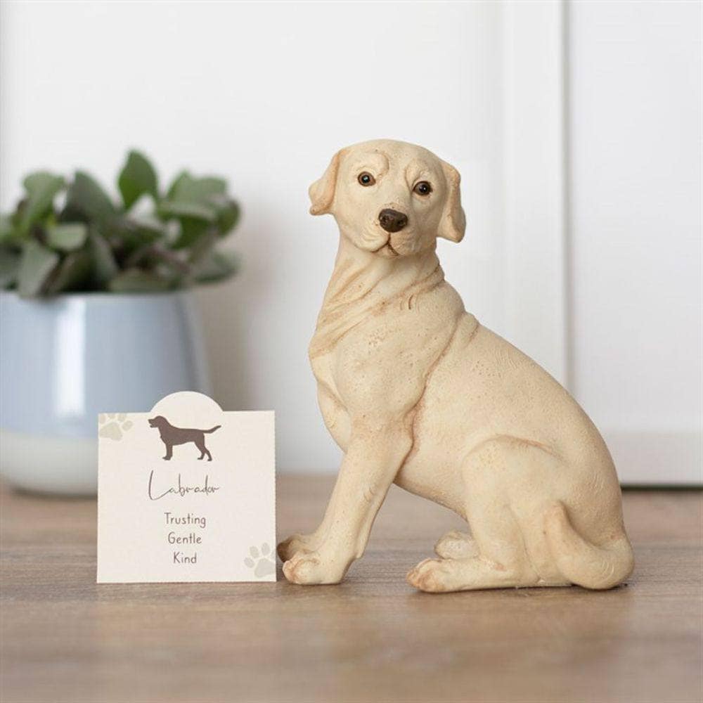 Yellow Labrador | Dog Ornament | Figurine