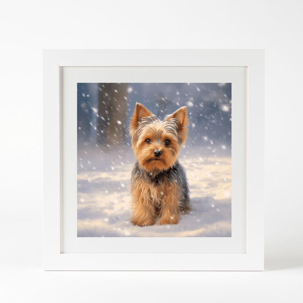 Yorkshire Terrier in the Snow | Framed Art Print | Christmas | Artwork - Framed Print